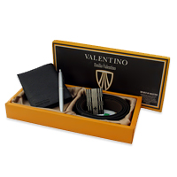 خرید پستی ست کیف و کمربند Valentino